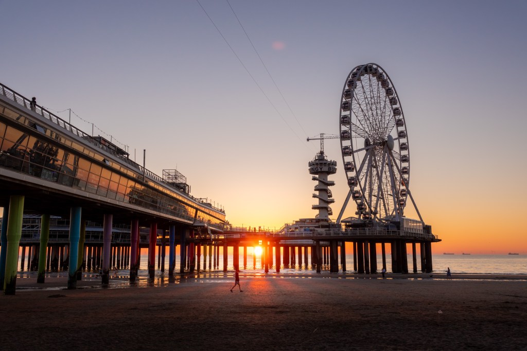 twenty-four the hague